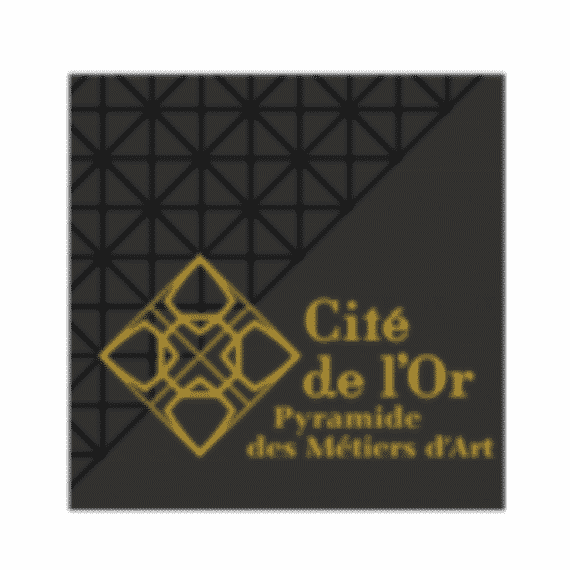 logo cite de l or saint amand